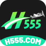 H555